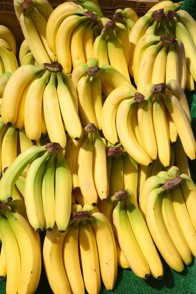 Πολλή τσαμπιά των μπανανών. — Φωτογραφία Αρχείου