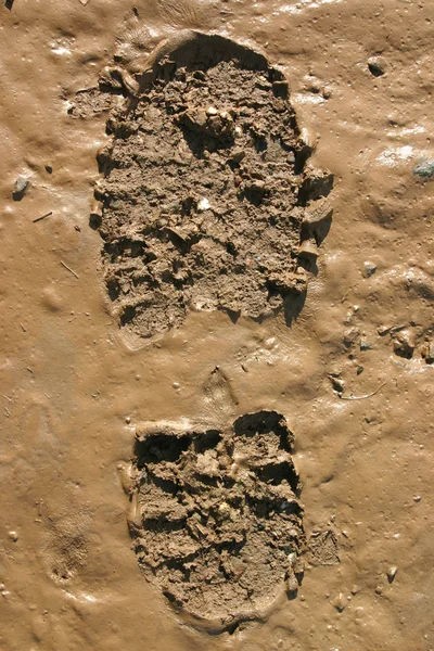 Walkers impressão da bota na lama molhada . — Fotografia de Stock