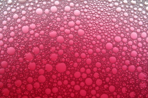 Graduated pink bubbles background. — Stock Photo, Image