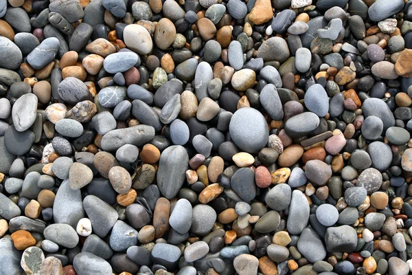Nahaufnahme von bunten Steinen am Strand. — Stockfoto