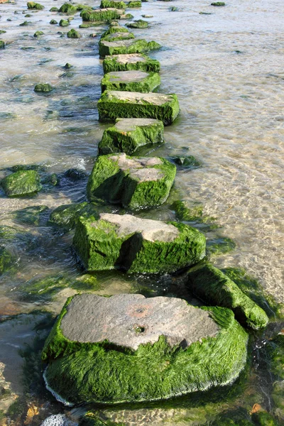 Large stepping stones across a stream. — Stock Photo, Image