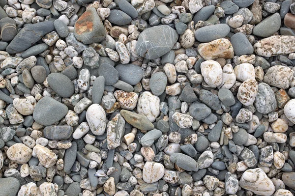 Beach stones close up. — Stock Photo, Image
