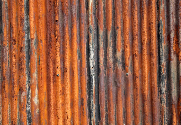 Rusty old corrugated iron fence close up.