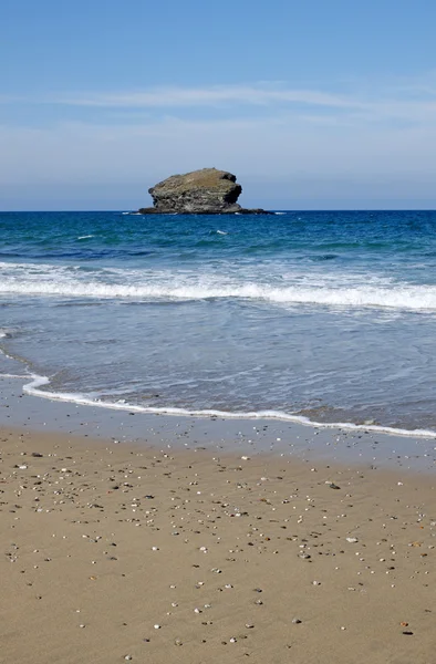 Meeuw rock en portreath strand. — Stockfoto