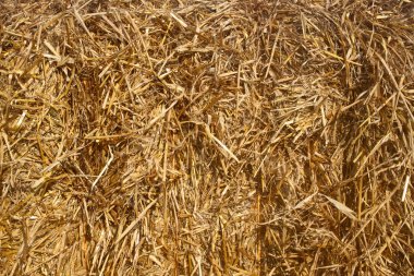 Close up of a straw bale. clipart