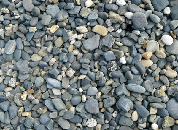 Penzance pierres de plage gros plan . — Photo