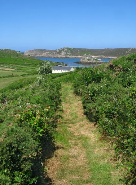 A footpath in Bryher, Isles of Scilly. — Stock Photo, Image