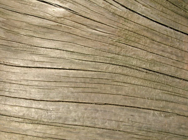 Árbol tronco de madera a la deriva de cerca . — Foto de Stock