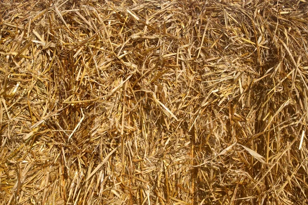 Close up of a straw bale. — Stock Photo, Image