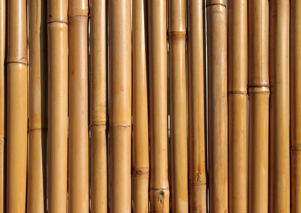 Vieille clôture en bois de bambou gros plan . — Photo
