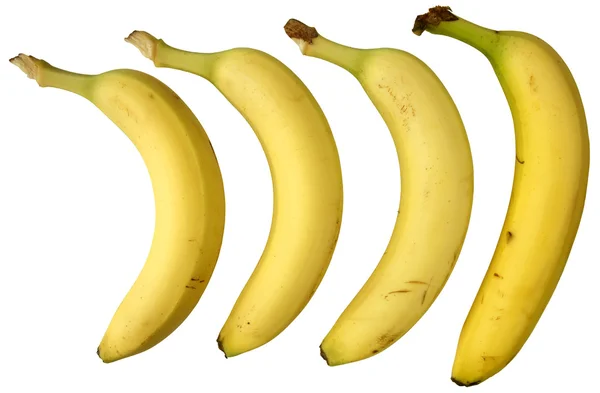 Čtyři banány, samostatný. — Stock fotografie