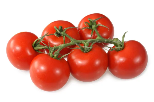 Stock image Red vine ripened British tomatoes.