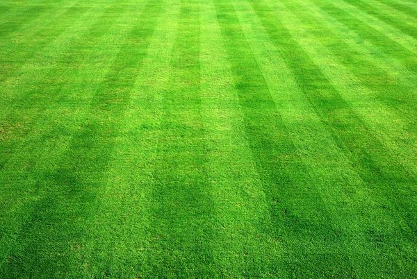 ボウリング グリーンの草の背景. — ストック写真