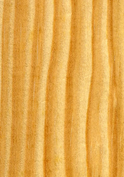 Patrón de líneas de madera de pino natural . — Foto de Stock