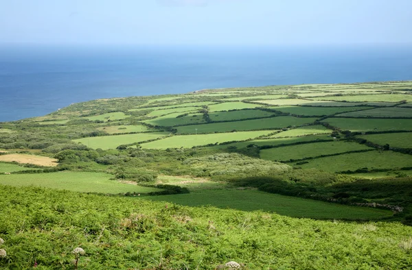 Green fields in Cornwall UK. — Stock Photo, Image