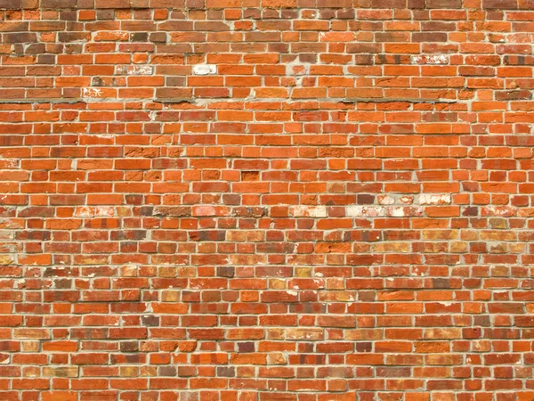 Colorful old brick wall background. — Stock Photo, Image