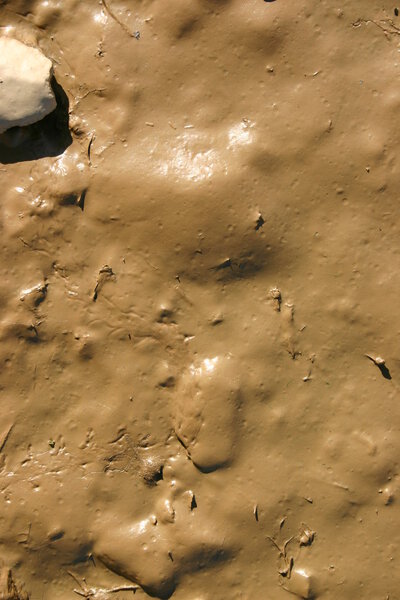 Wet mud close up.