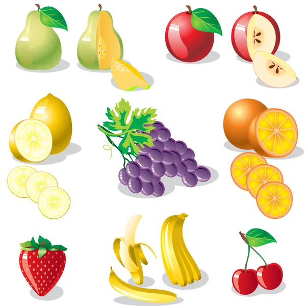 Früchte — Stockvektor