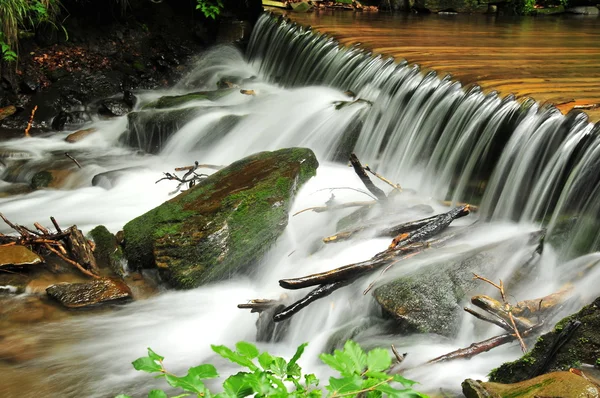 Малый лесной водопад Стоковое Изображение