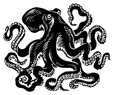 Octopus clipart