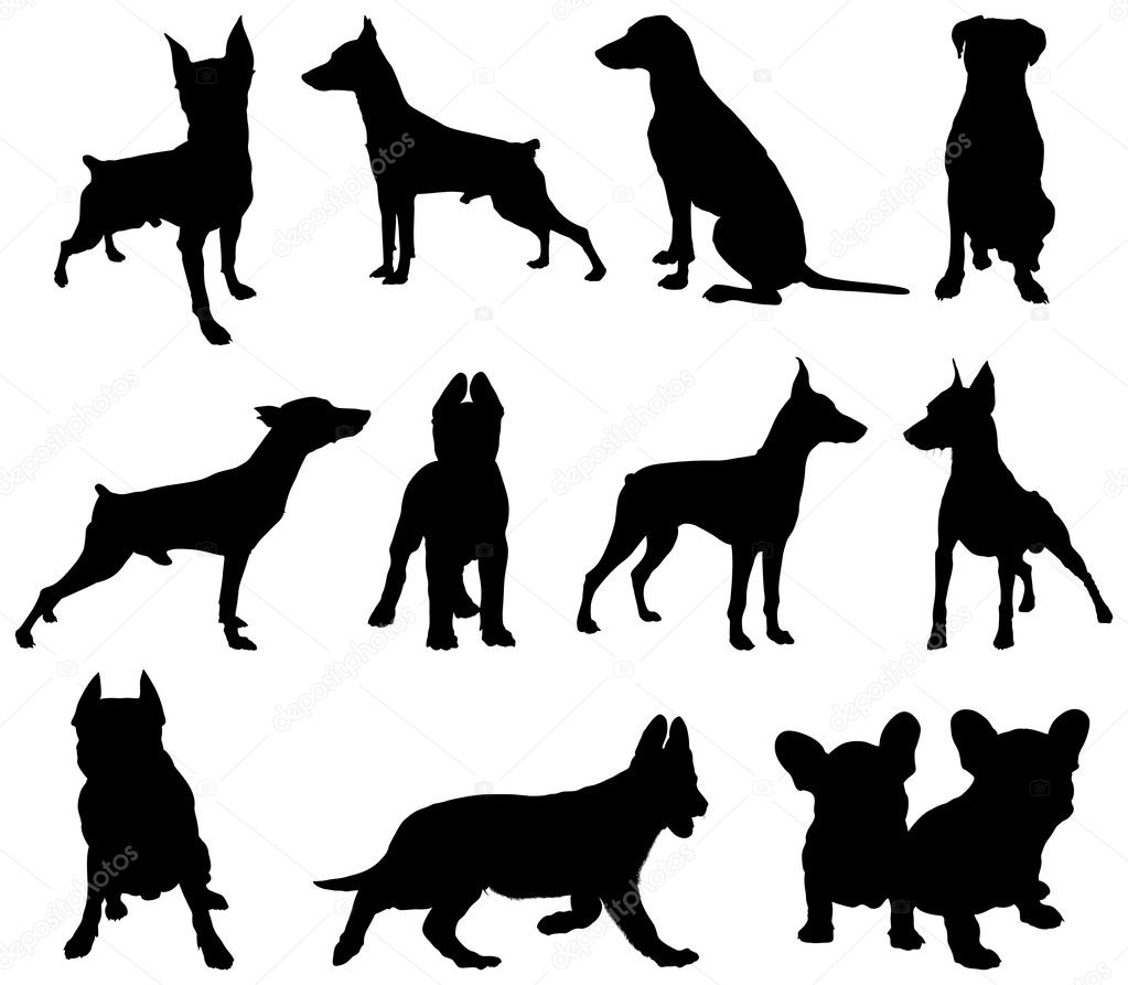 Dogs silhouette