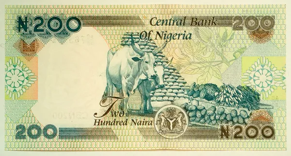 200 Naira — Stock Photo, Image