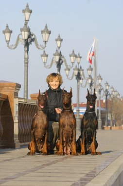 3 doberman pinscher ve butiful sahibi