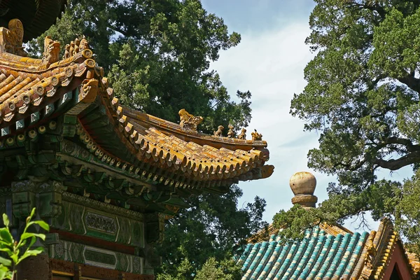 stock image China roof