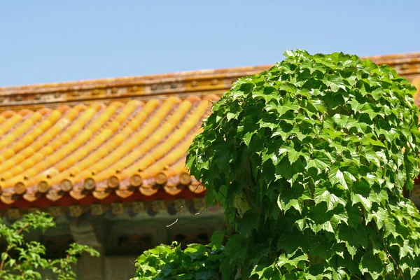 stock image China roof