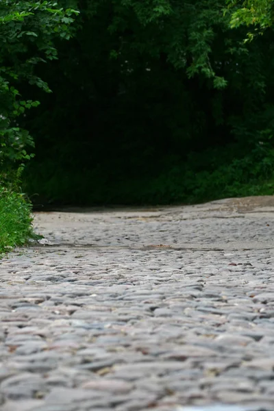 stock image Stone road in the forest