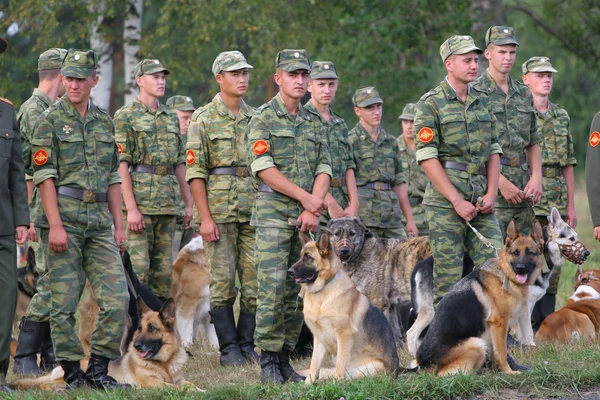 Grupo de soldados com cães — Fotografia de Stock