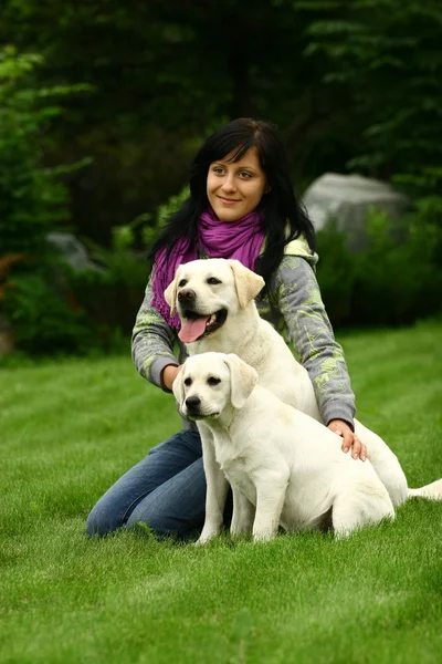 2 匹の犬を持つ草の上に座っている女の子 — ストック写真