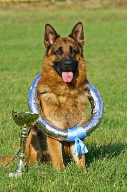 Dog with a cup and a wreath clipart