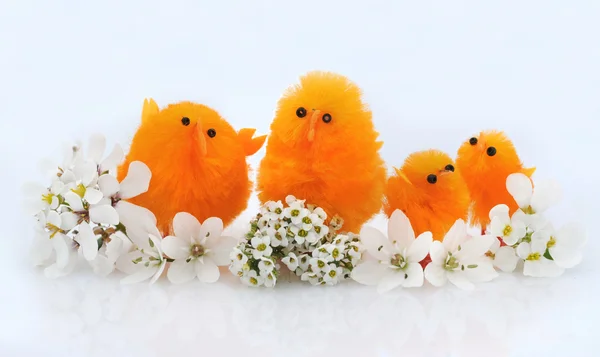 Pasqua — Foto Stock