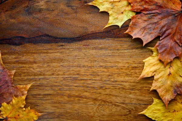 Maple leaves on the wooden background — Stock Photo, Image