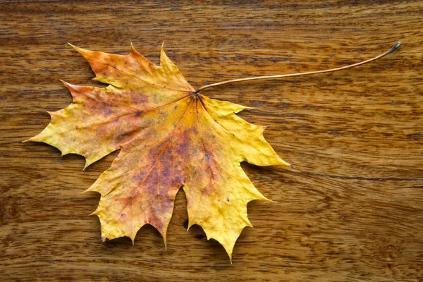 Maple leaf on the wooden background — Stock Photo, Image