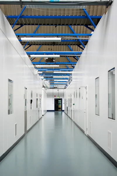 Clean room campus corridor — Stock Photo, Image