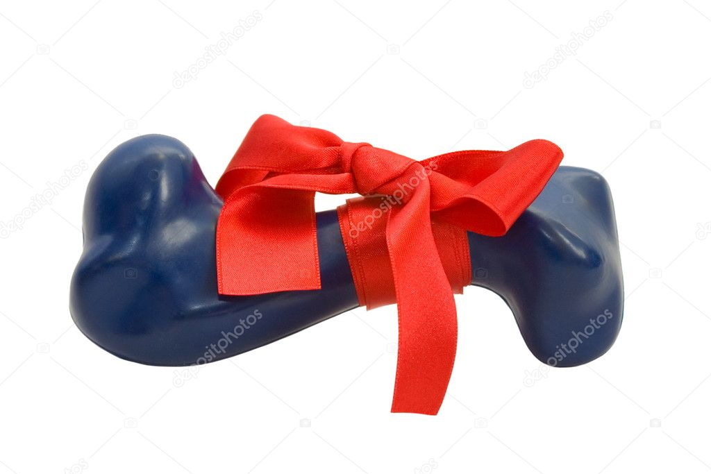 Rubber bone gift with ribbon and bow