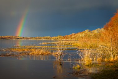Lake covered by ice and rainbow clipart