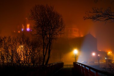 Galway Cathedral vanishing in night fog clipart