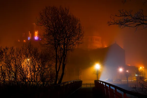 消失在夜雾中的圣母升天大教堂 — 图库照片