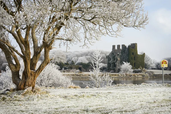 Замкові руїни та дерева, покриті морозами — стокове фото