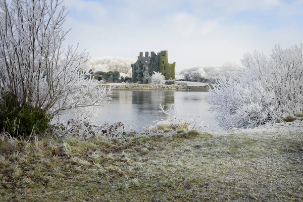 城堡废墟和霜所涵盖的树木 — 图库照片