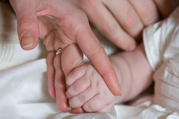 Tiny baby hand holding mothers finger — Stock Photo, Image