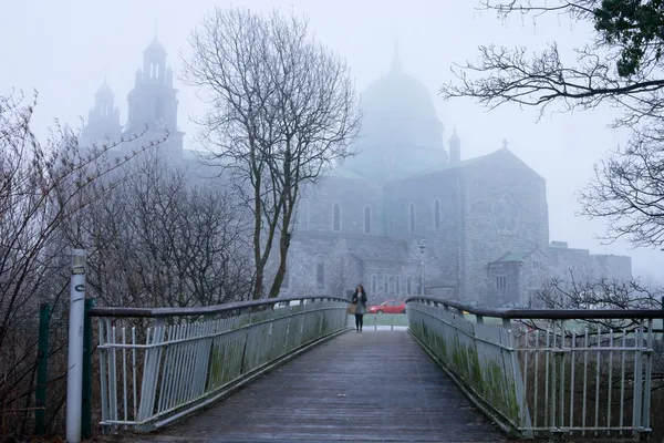 Galwayi katedrális eltűnt a ködben — Stock Fotó