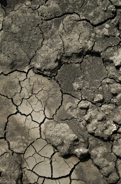 Ziemia sucha — Zdjęcie stockowe
