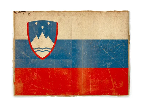 슬로베니아의 깃발을 잡다 — 스톡 사진