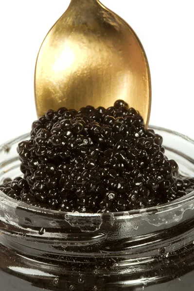 Kaviar schwarz — Stockfoto