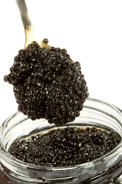 Caviar noir — Photo