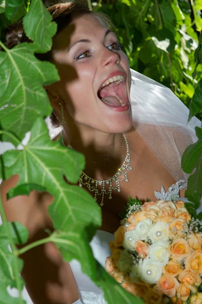 結婚式 — ストック写真